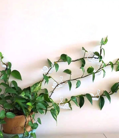 Lasyman 50PCS Plant Wall Clips: Vine Climbing Self-Adhesive Invisible Fixing Hook for Wall & Garden Decoration