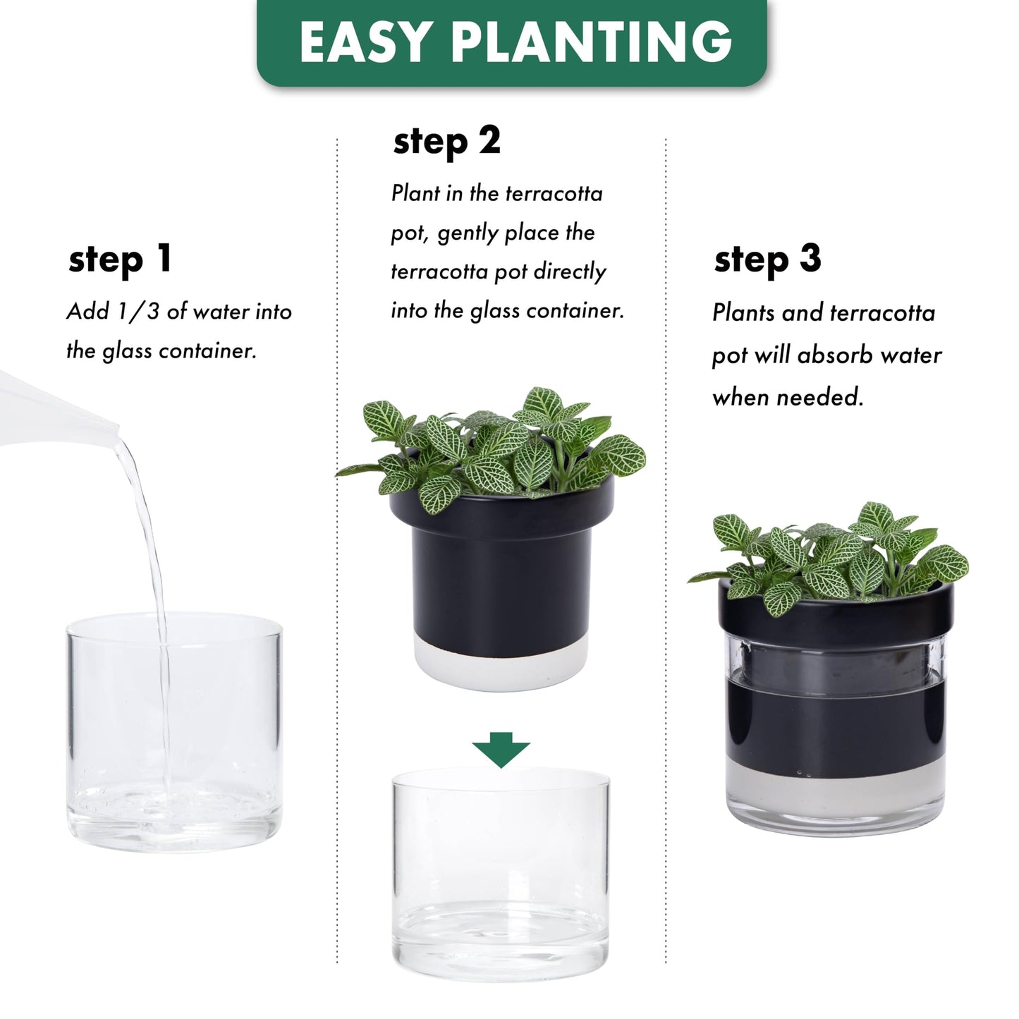 Phoenix Vine 4 Inch Self Watering Planter Pot, Black Terracotta Clay Pot with Glass Reservoir for Indoor Plants, Herbs, Flowers, Set of 3, 52-C-E-3