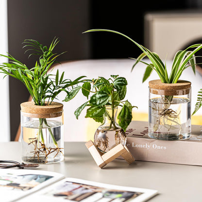 JGKYLDZ Plant Propagation Station, 2 Style Glass Planter Terrarium Set for Hydroponic Plants | Home Office Tabletop Decor, Gardening Gifts for Women, Mom, Plant Lovers (4)