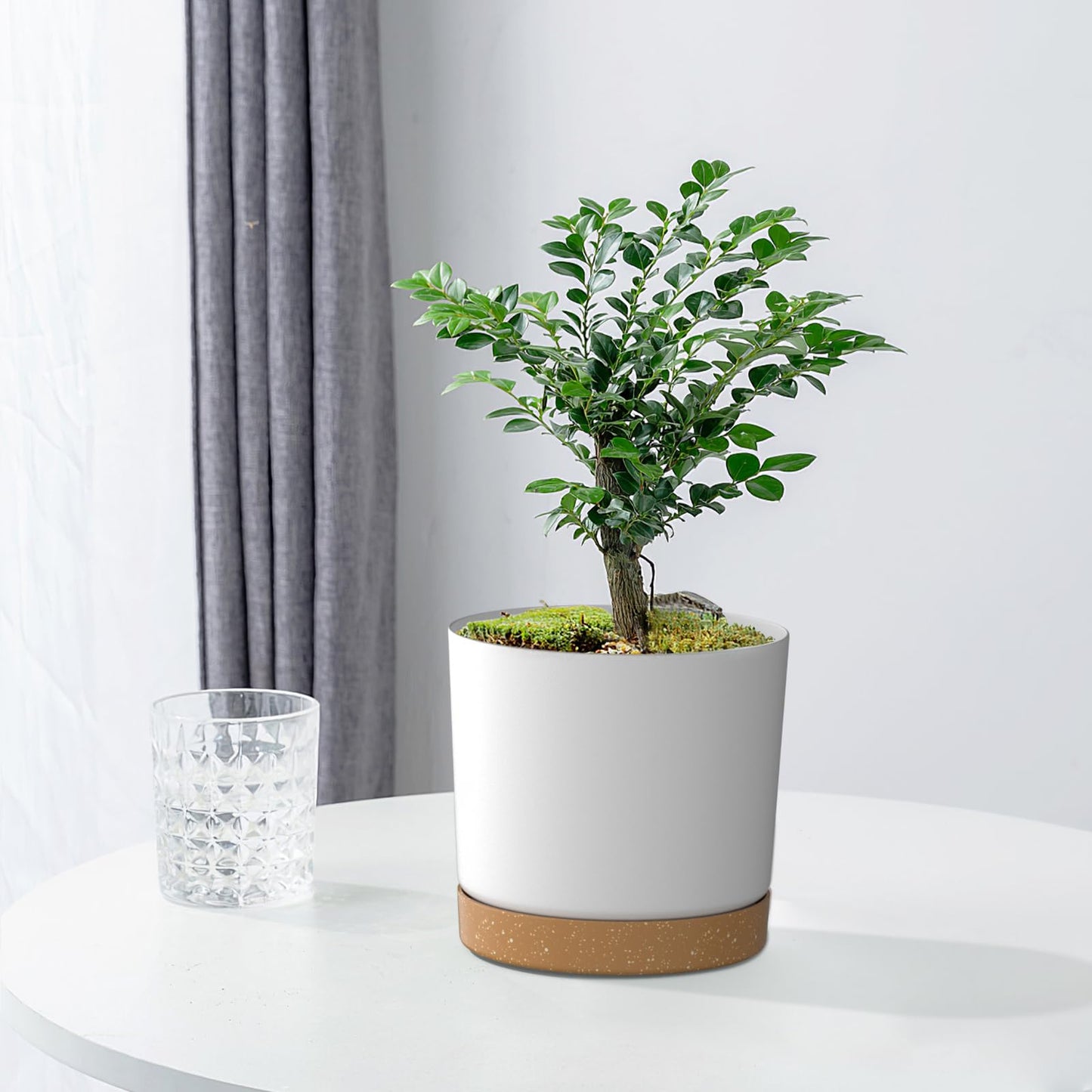 FIASON 8 inch Plant Pots, Plastic Planter with Drainage Hole and Saucer, A Set of 2 Flower Pots for Indoor, Outdoor, House Plants, Succulents, Flowers (White)
