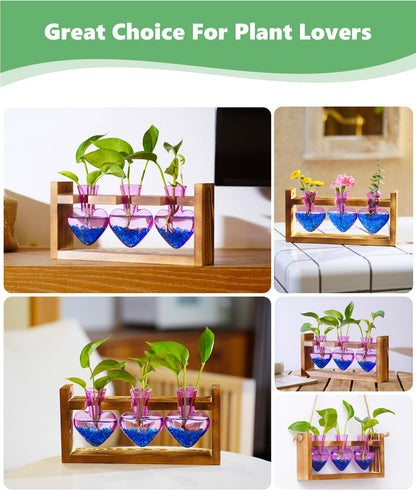 Nacome Plant Terrarium Propagation Stations: Mothers Day Gifts for Mom Plant Lovers Women Wife Daughter - 3 Bulb Glass Vase with Wooden Stand Tabletop for Hydroponics Home Garden Decor(Purple)