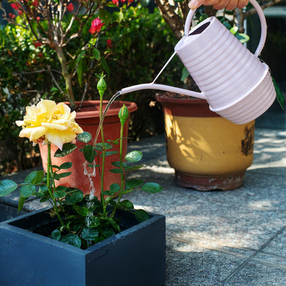 HORTICAN Small Watering Can, Matte Pink (Almost Mauve), 34oz., Metal Watering Can with Long Spout, Nice Indoor Water Can, Plant Water Can for Indoor Plants