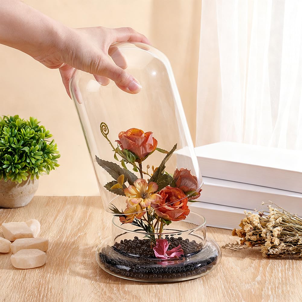PH PandaHall Glass Dome Cloche 5.5x8.46inch Clear Terrarium Planter with Base Tabletop Display Terrarium for Indoor Plants Succulents Cactus Tabletop Home Decoration