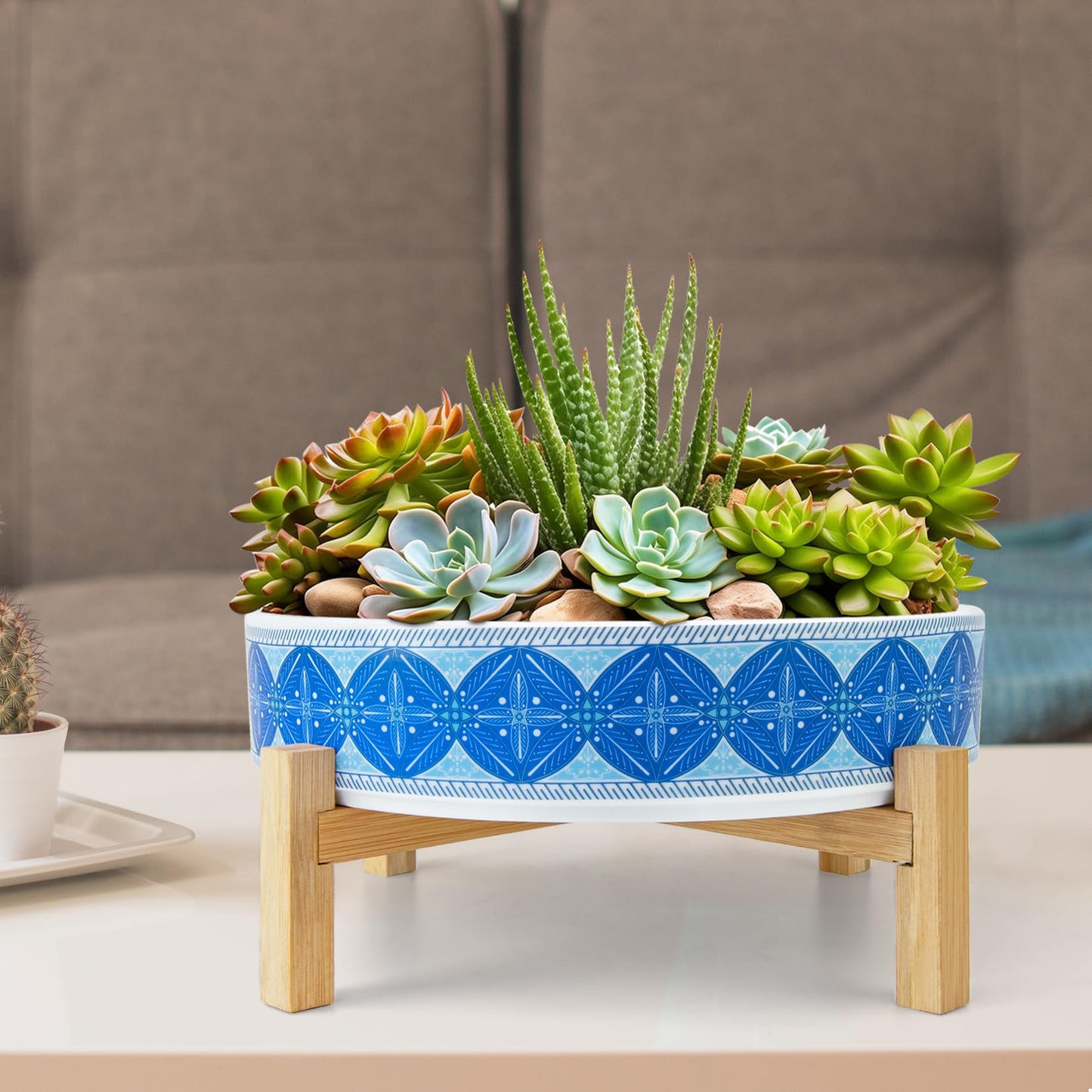 ARTKETTY Succulent Pots - 11 Inch Large Plant Pots Ceramic Bonsai Pots with Drainage Stand, Shallow Succulent Planters for Indoor Plants Decorative Flower Cactus Planter Bowl
