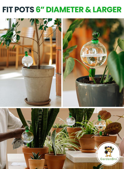 16 Oz Plant Watering Globes for Indoor Plants with Terracotta Self Watering Planter Insert - Hand-Blown XL Glass Globes - Automatic Indoor Planter Waterer, Gift Idea for Gardeners [1, Clear]