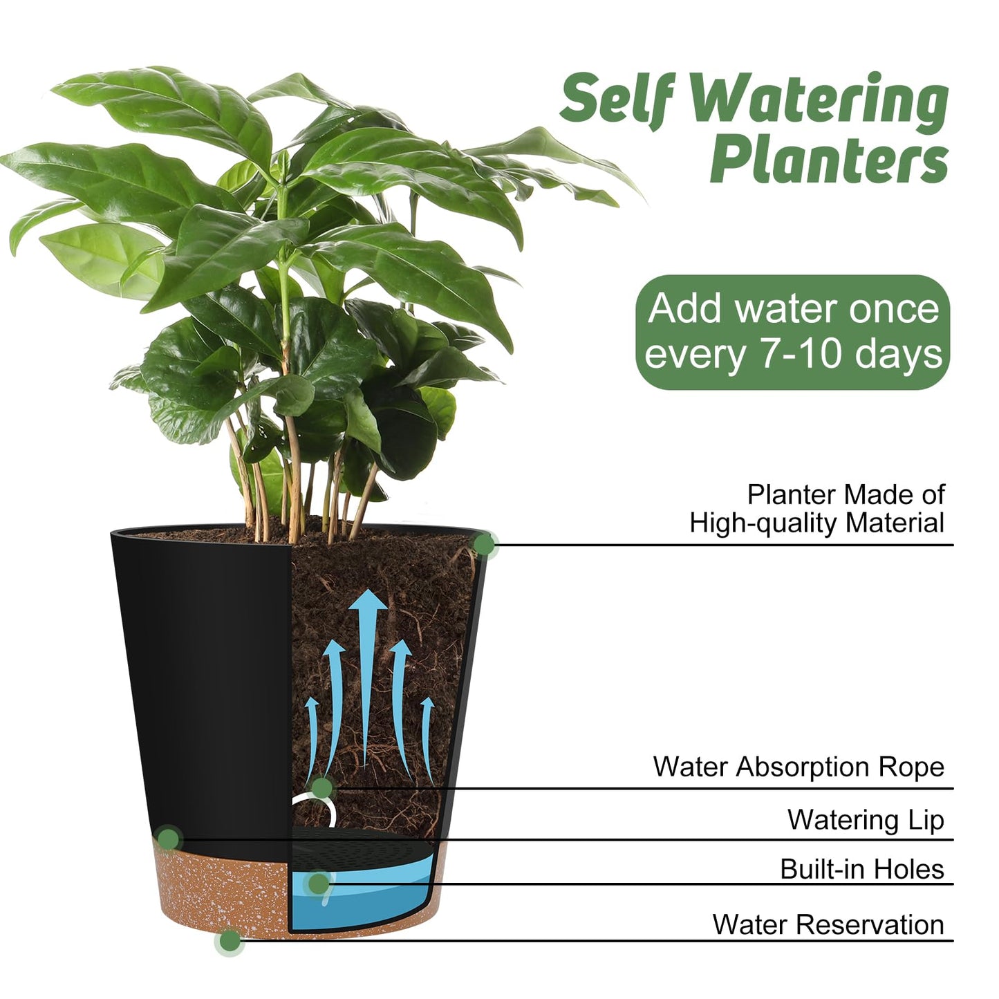YNNICO Indoor Self Watering Planters with Drainage Holes and Saucers