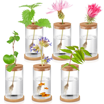 Rtteri 6 Pcs Glass Propagation Stations for Plants, Desktop Flower Vases, Plant Terrarium Desktop Glass Planters with Lid and Wooden Saucer for Home Decoration(2.56 x 4)