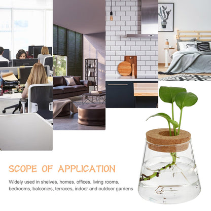 Uonlytech 2pcs Glass Hydroponic Plant Vase Set, 6.5cm Mouth Diameter Glass Planter Pots for Indoor Garden, Office Desk Terrarium, Hydroponics Growing Jar for Home Décor