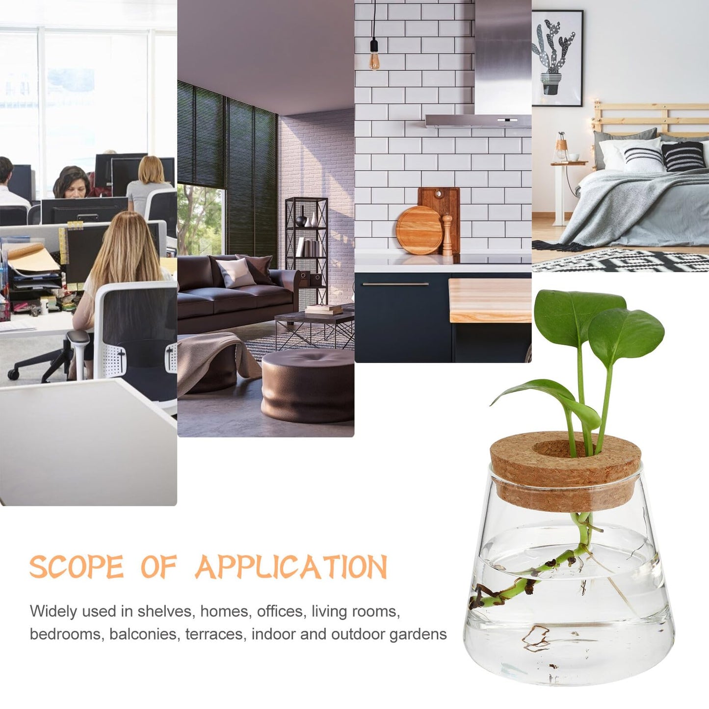 FUOYLOO Desktop Glass Vases for Hydroponics Plants, Stylish Terrarium Planter Wood Lid for Indoor and Hospitality Decor