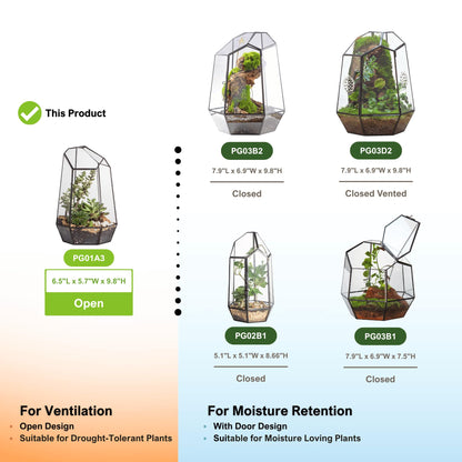 NCYP No Door Geometric Glass Terrarium Planter for Small Succulent, Small Cacti, Black Irregular Opened Terrarium Pot, Indoor Home Garden Office Tabletop Decor, 6.5" x 5.7" x 9.8" (No Plants)