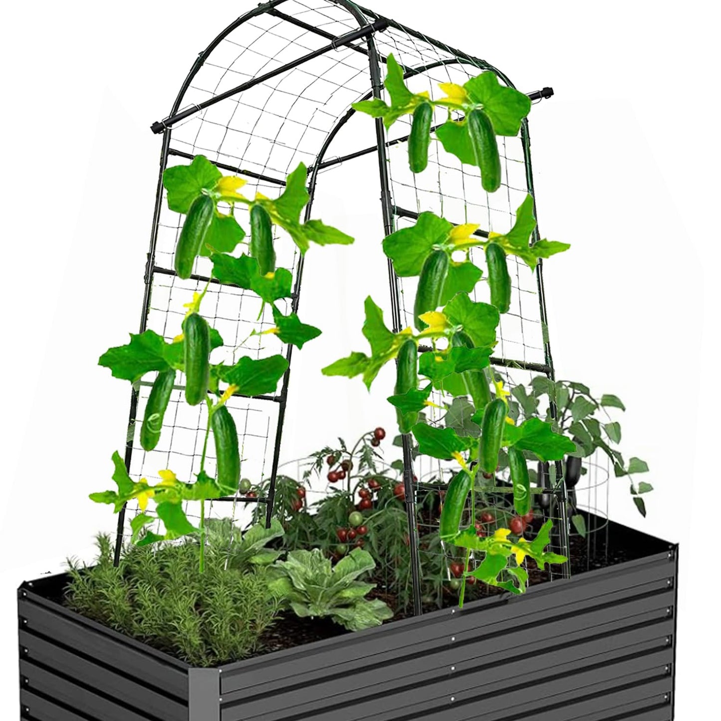 7FT Tall Garden Arch Trellis for Climbing Plants Outdoor Cucumber Trelli for Raised Bed, Metal Trellis Support with Net for Vegetables Tomato Zucchini Squash Beans Peas Melons, Rose Flowers,Vines