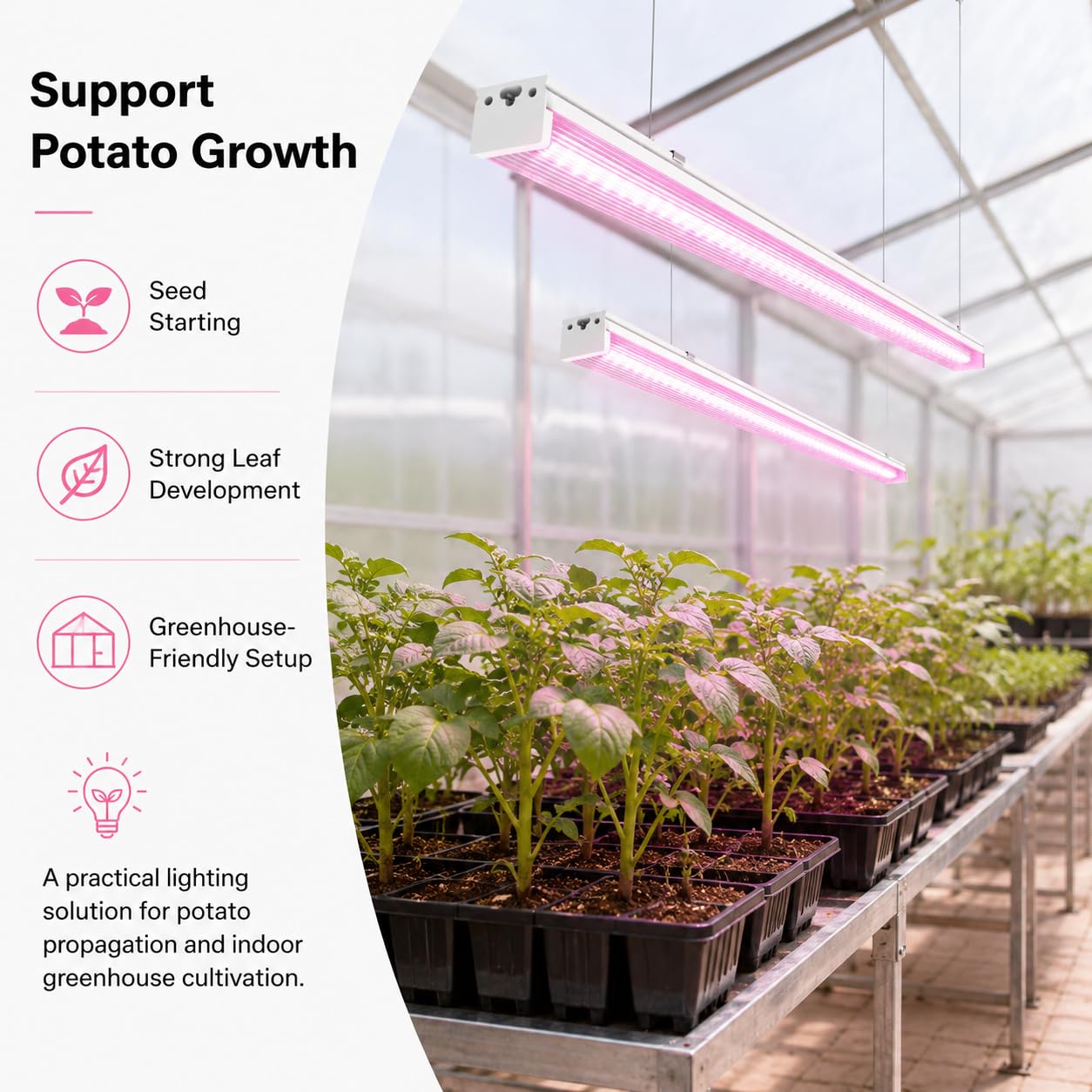 Grow Lights for Indoor Plants Full Spectrum Grow Lights for Seed Starting,4FT Plant Light for Indoor Plants,252W(6x42W 1400W Equivalent) Linkable Design,Greenhouse,Pinkish White,6 Pack