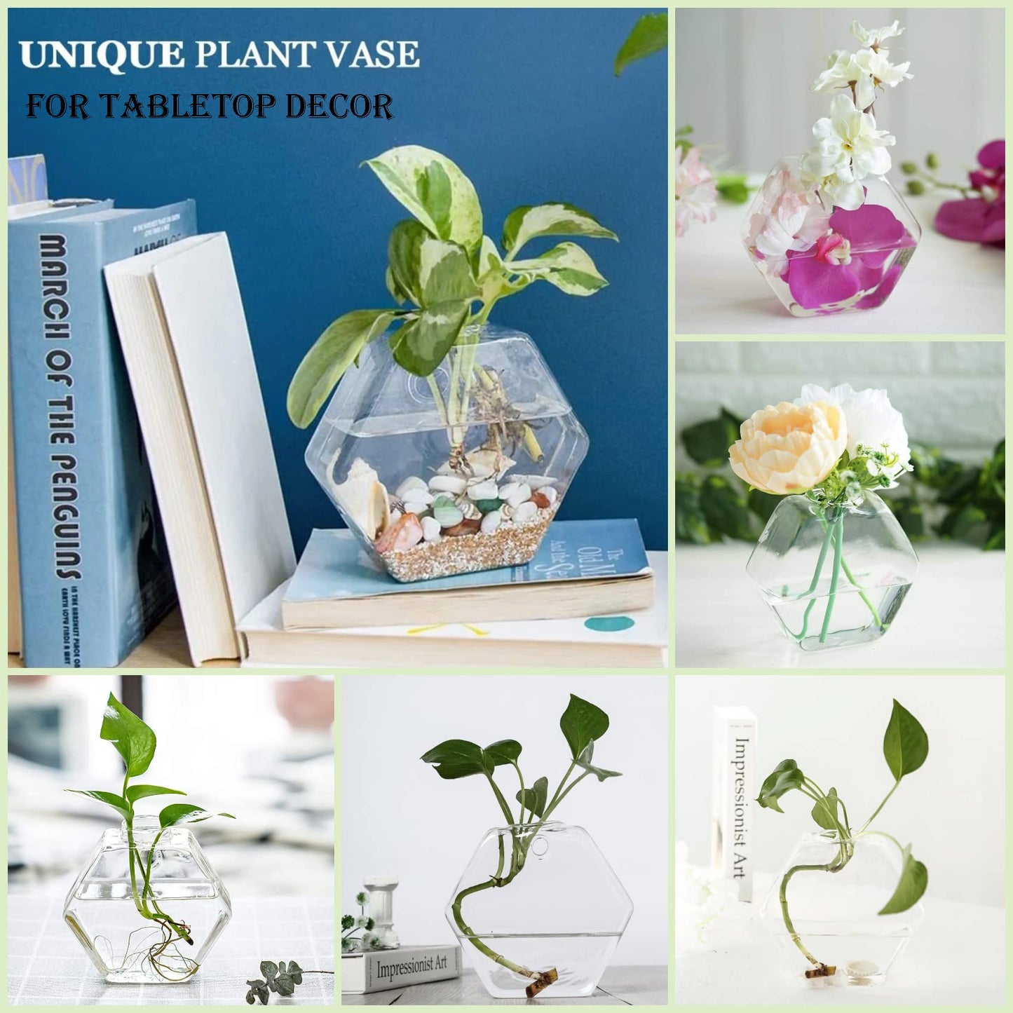 Kingbuy Hexagon Wall Planter Set - 3 Pack Glass Propagation Terrarium Vases with Hanging Mounts for Indoor Plants, Air Plants & Hydroponic Stations Home Office Decor, Plant Lover Gifts (Medium)