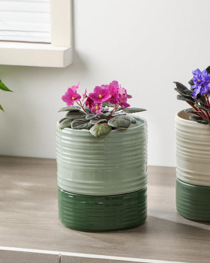 Fayoula Self Watering Pots for Indoor Plants, 6 Inch Ceramic Self Watering Plant Pot, Planter Pot with Wick Rope and Drainage Hole for African Violet Succulent Herbs (Green Light)