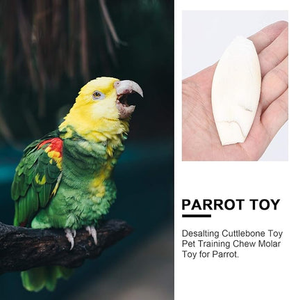 Baluue 12pcs Bird Cuttlebone Chew Toy Cuttlefish Bones Parrot Cage Toys Bird Bite Toy for Aquarium Reptile Tortoise Turtle Cockatiel 10cm
