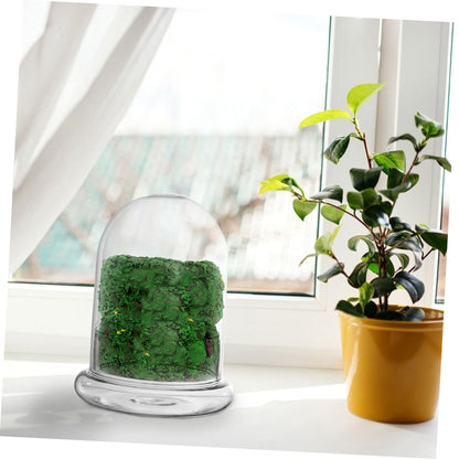 HEMOTON Eco Bottle Moss Glass Terrarium Air Plant Holder Hydroponic Vase Micro-Landscape DIY Decor