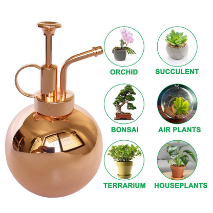 Lianshi Stainless Steel Plant Sprayer, Small Watering Can Plant Misting Bottle, Modern Gardening Tools for Indoor Potted Plants Watering and Misting