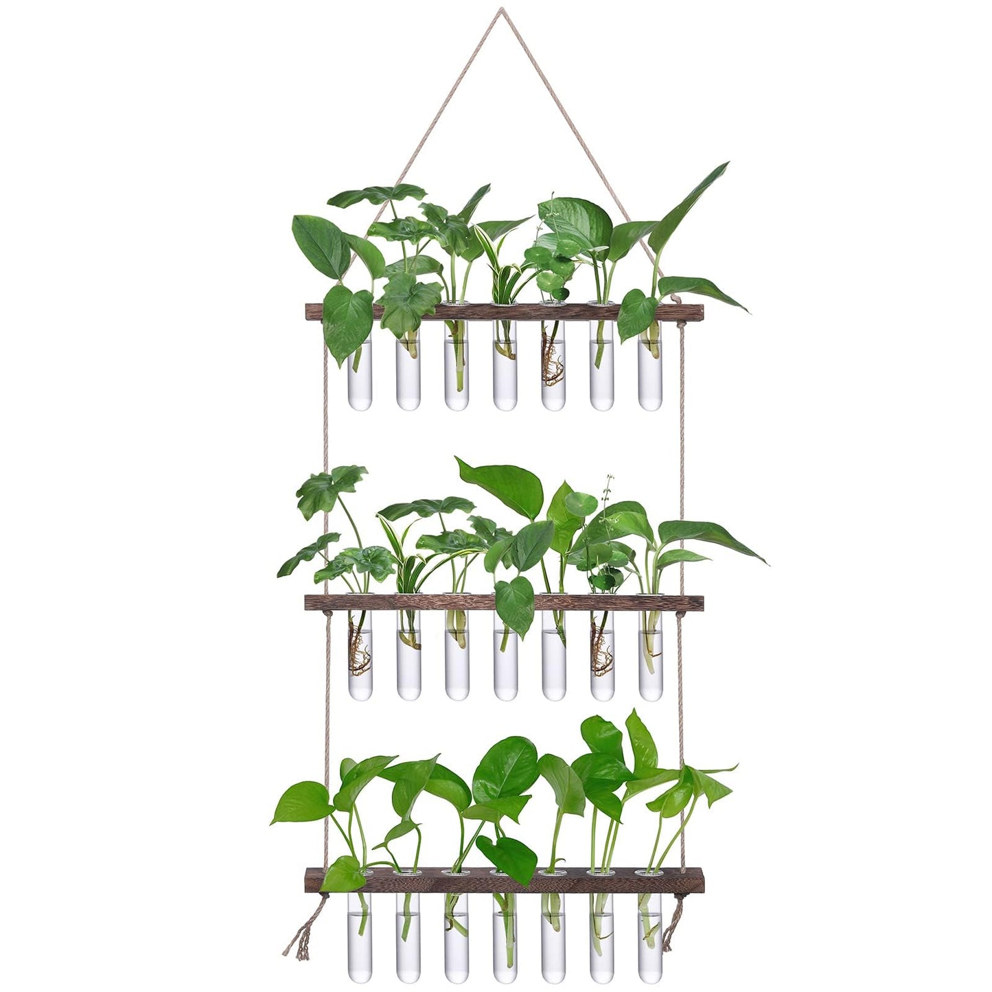 XXXFLOWER Wall Hanging Propagation Station with Wooden Stand 21 Glass Test Tubes 3 Tiers Planters Wall Terrarium for Home Office Plant Hanger Flower Vases Wall Decor Hydroponic Cuttings