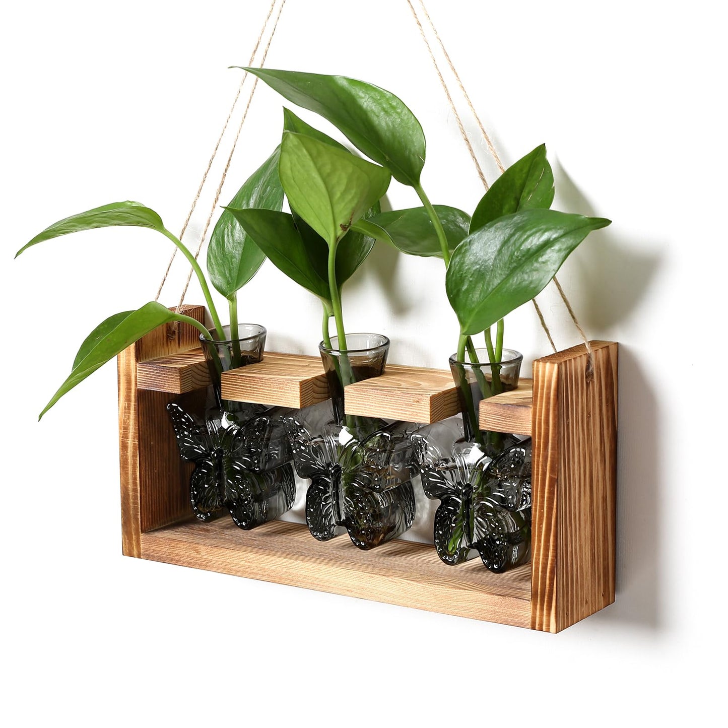 Glass Plant Propagation Station Butterfly Planter Vase with Wooden Stand Birthday Gifts for Women Mom Plant Lovers Office Home Decoration