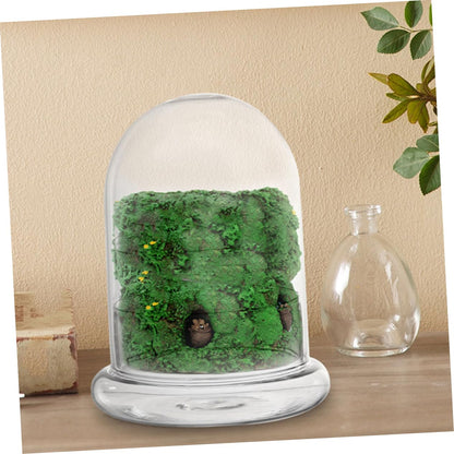 VANZACK 2pcs Moss Landscape Bottle DIY Plant Terrarium Glass Container for Indoor Home