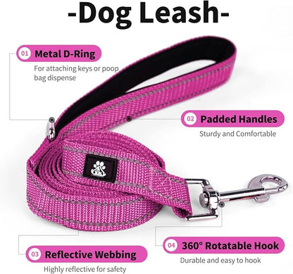 IVY&LANE 2 Pack Reflective Dog Collars and Leashs Set,Adjustable Neoprene Padded Dog Collar for Puppy, Breathable Nylon Pet Collar for Small Medium Large Dogs(Small,Purple+Fuchsia)
