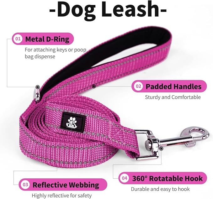 IVY&LANE Reflective Dog Collar and Leash Set,Adjustable Neoprene Padded Dog Collars, Breathable Nylon Pet Collar for Small Medium Large Dogs (Medium,Fuchsia Pink)