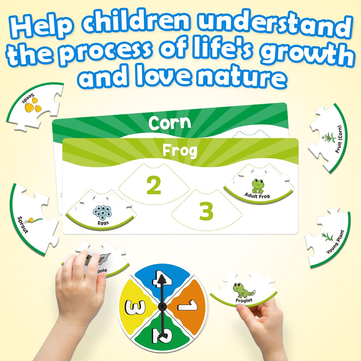 Edulok Life Cycle Toys for Kids, Toddler Puzzles, Preschool Science Kits for Kids 3-5, Kindergarten Learning Activities, Learning Education Toys, PreK Classroom Essentials, Homeschool Supplies
