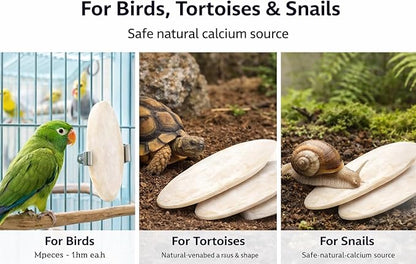 Birds LOVE 7.5-8" Cuttlebone for Birds – 100% Natural Sun-Dried Calcium Carbonate Mineral Supplement – for Parakeets, Budgies, Cockatiels, Finches & Canaries – 2 Pack with Holder – Made in Vietnam