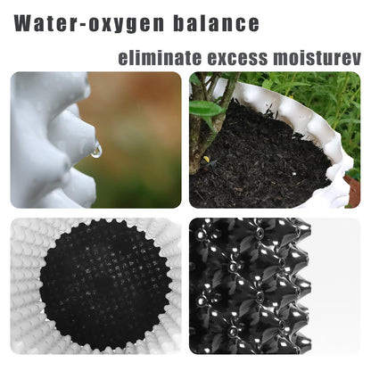Plant air pruning pot, honeycomb porous structure design, improve root system development, prevent decay, suitable for flowers/vegetables/seedlings, farm planting solutions (Black, 8inches-3G-6P)