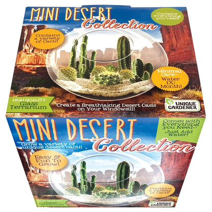Cactus Succulent Glass Terrarium Starter Kit from Unique Gardener - Grow Your Own Indoor Desert Terrariums - Includes Live Cacti Plants and Easy Setup with Complete Terrarium Supplies