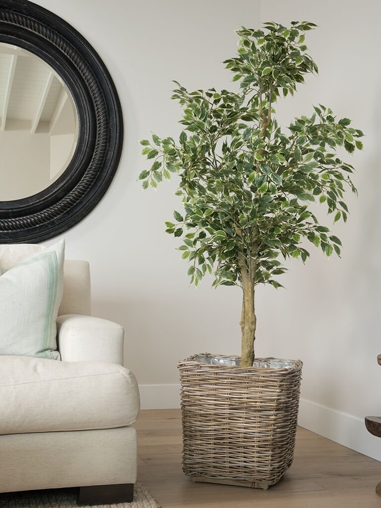 Kouboo Planter Woven Rattan Indoor Outdoor with Drainage Holes Tall Cute Pots Square for Olive Tree Large