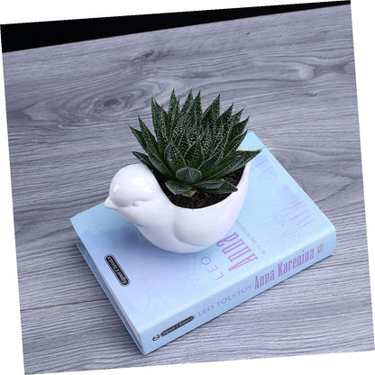 LALAFINA Ceramic Succulent Plant Container Bird Shape Large White Flower Pot with Saucer Indoor Desktop Planter for Home Garden Decor