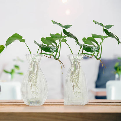 Sewroro 4pcs Decorative Glass Vases Small Terrarium Flower Vases for Hydroponic Plants Desk Home Décor Minimalist Glass Flower Containers