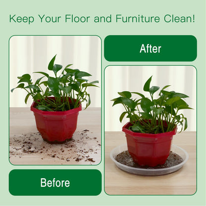 Dapsang 6 Pack Plant Saucers of 10 Inch, Clear Plastic Plant Trays for Pots Indoor Outdoor, Round Durable Sturdy Plant Water Catcher Tray for Drainage Decoration Protection