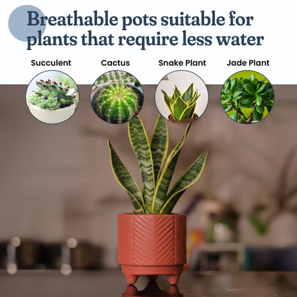 FINE Living 4 Inch Terracotta Pot with Chevron Pattern, Boho Ceramic Planter Clay Pots for Indoor Plants, Succulent Planter with Drainage Hole and Mesh Net for Gifts, Garden & Home Decor