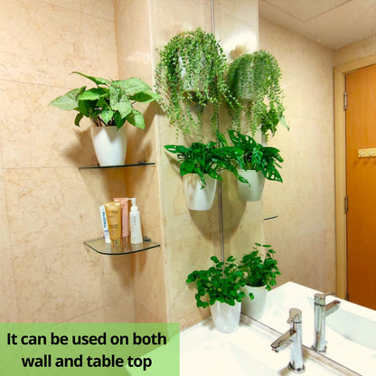 LaLaGreen Bundle - 4" x 10 Pack + 4" x 10 Pack Black and White Self Watering Plastic Pots Wall Mount Plant Holder, Modern Hydroponic Wall Hanging Pot Vertical System Living Plant Wall Garden