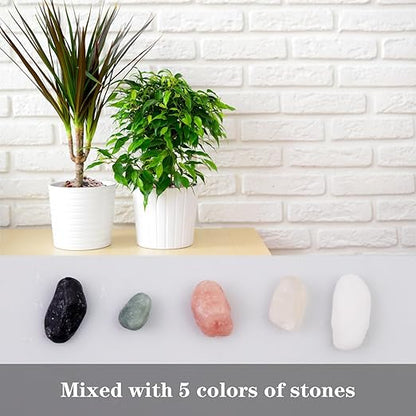 5lb Pea Silica Gravel Decorative Rocks, Polished Pebbles Ideal for Fish Tank, Vases, Succulents, Home Decor and Garden Landscaping, Countryside