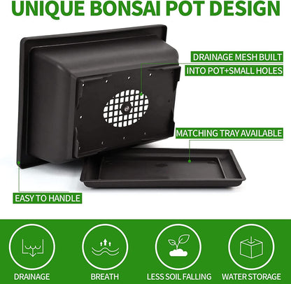 Meekear Bonsai Tree Kit with Complete Plant Growing Tools, Grow in Pot Indoor Bonsai Tree Starter Kit, Home Gardening DIY Gift for Adult