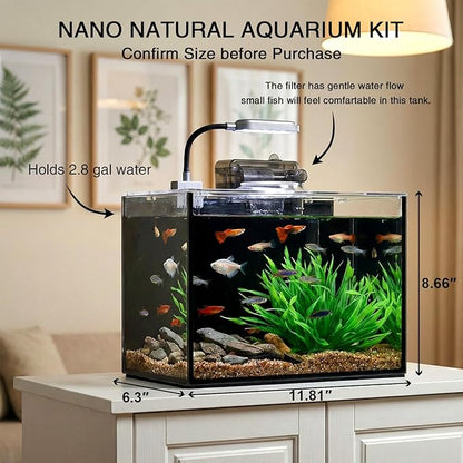 2.5 Gallon Betta Fish Tank, Small Aquarium Kit,Glass Small Fish Tank,Betta Fish Tank with a lid and Light and Filter, Small Transparent Glass Fish Tank with Light and Filter (Black Glass Background)