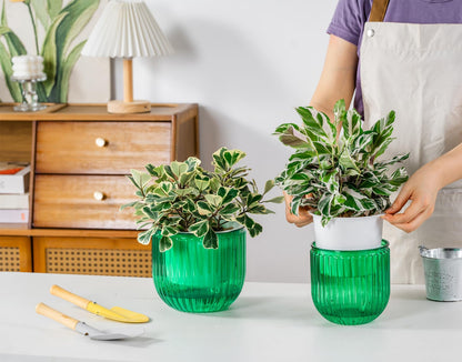 Melphoe Self Watering Pots for Indoor Plants, 6.5/5.3 Inch 2 Pack and 2Pack 7/8 inch Flower Pots