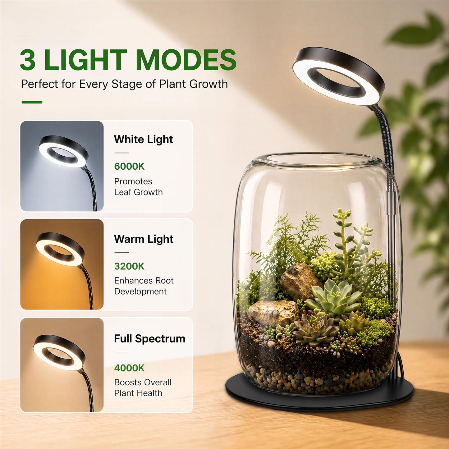 Yeeweek 5X Aperture Grow Light for Indoor Plants, Mini Desk Grow Light with Glass Terrarium for Small Plants, Succulents & Moss, Height Adjustable Plant Growing Lamp for Home Office Gift