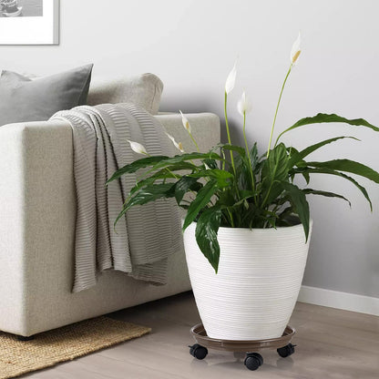Skelang 3 Pcs Plant Caddy, 11.8" Plant Stand, Round Plant Pallet Pot with Lock Wheels, Rolling Tray Planter Trolley Casters, Moving Plant Pot Saucer for Patio, Garden, Indoor