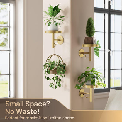 YUOROS 3 Pack Wall Plant Holder Stand Wall Planters for Indoor Plants Hanging Window Plant Hanger Decor (Gold)
