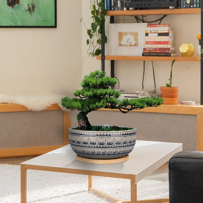 G EPGardening 8+10 Inch Ceramic Succulent Planter Pots Round Shallow Bonsai Planter Pot for Indoor Plants with Drainage and Plant Saucer