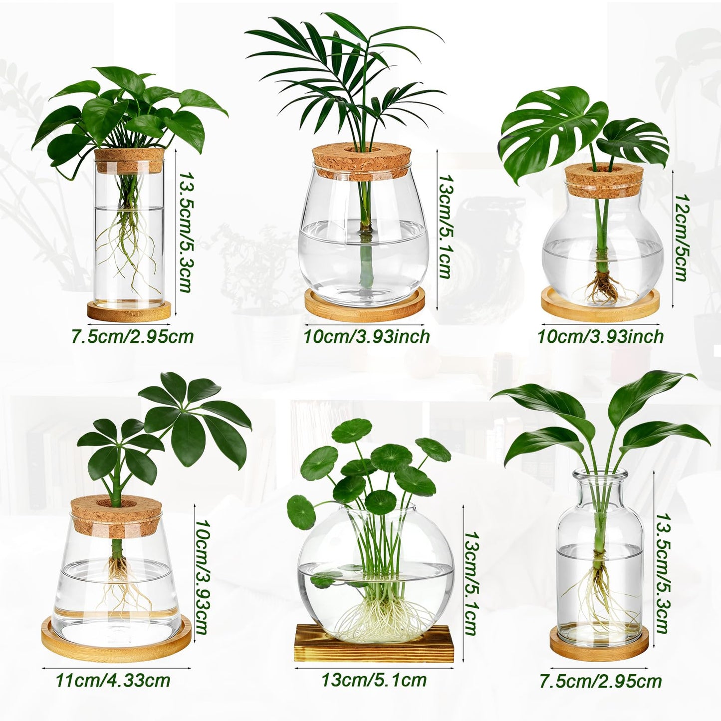Anboliwb 6 Pcs Plants Propagation Stations Glass Planter Terrariums with Wooden Lid and Bamboo Stand Desktop Propagation Vases Jars for Plant Growing Hydroponic Home Office Tabletop Garden Decoration