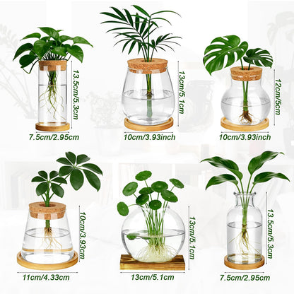 Anboliwb 6 Pcs Plants Propagation Stations Glass Planter Terrariums with Wooden Lid and Bamboo Stand Desktop Propagation Vases Jars for Plant Growing Hydroponic Home Office Tabletop Garden Decoration