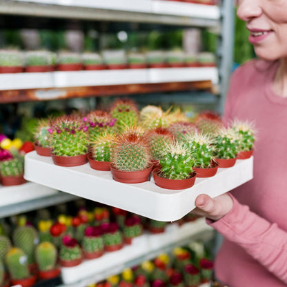 KINGLAKE GARDEN Small Terracotta Plastic Pots,50 Packs 2 Inch Small Plant Pots with Drainage Holes,Mini Nursery Plastic Plant Planters for Succulents,Indoor Outdoor Plant