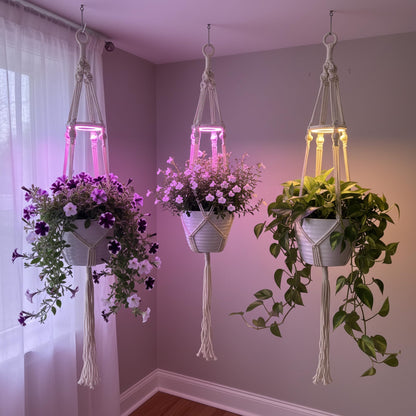 Lazukes 2 Pack Hanging Plant Grow Lights for Indoor Plants with Timer, Wall Mounted Full Spectrum Pendant Growing Light with Macrame Plant Hanger, Ceiling LED Planta Luz for Potted Plants Home Decor