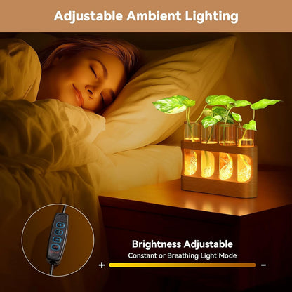 Varjjae Plant Propagation Station with Wooden Stand, Gardening Gifts for Plant Lovers, 9-Level Dimmable LED Light 4 Glass Test Tubes Vases for Hydroponic Plants - Desktop Terrarium for Home Decor