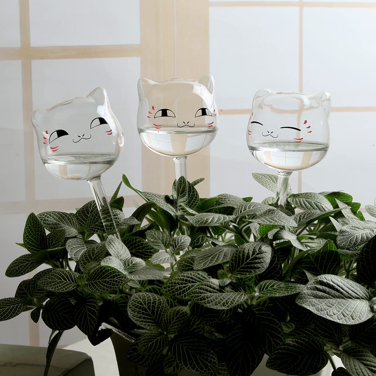 OYSIR 3 Pack Plant Waterer Self Watering Globes, Cute Cat Transparent Mini Durable Clear Glass Aqua Bulbs for Indoor, Automatic Plant Watering Devices, Gifts for Family and Friends